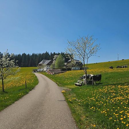 Lorenzenhaeusle Titisee-Neustadt Extérieur photo