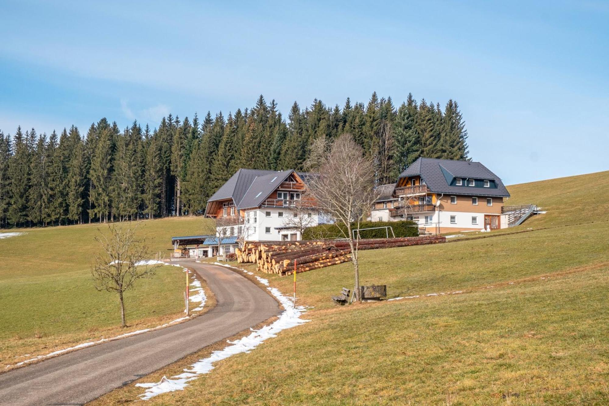 Lorenzenhaeusle Titisee-Neustadt Extérieur photo