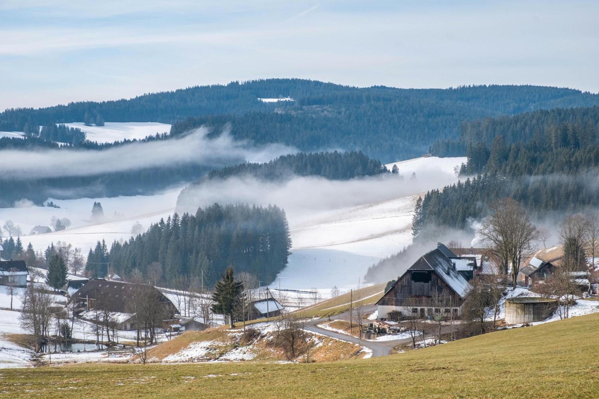 Lorenzenhaeusle Titisee-Neustadt Extérieur photo