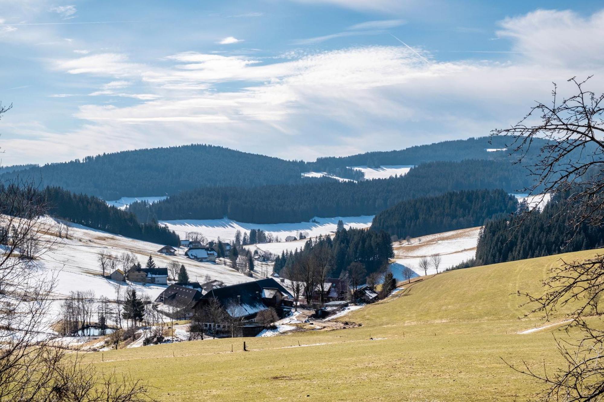 Lorenzenhaeusle Titisee-Neustadt Extérieur photo