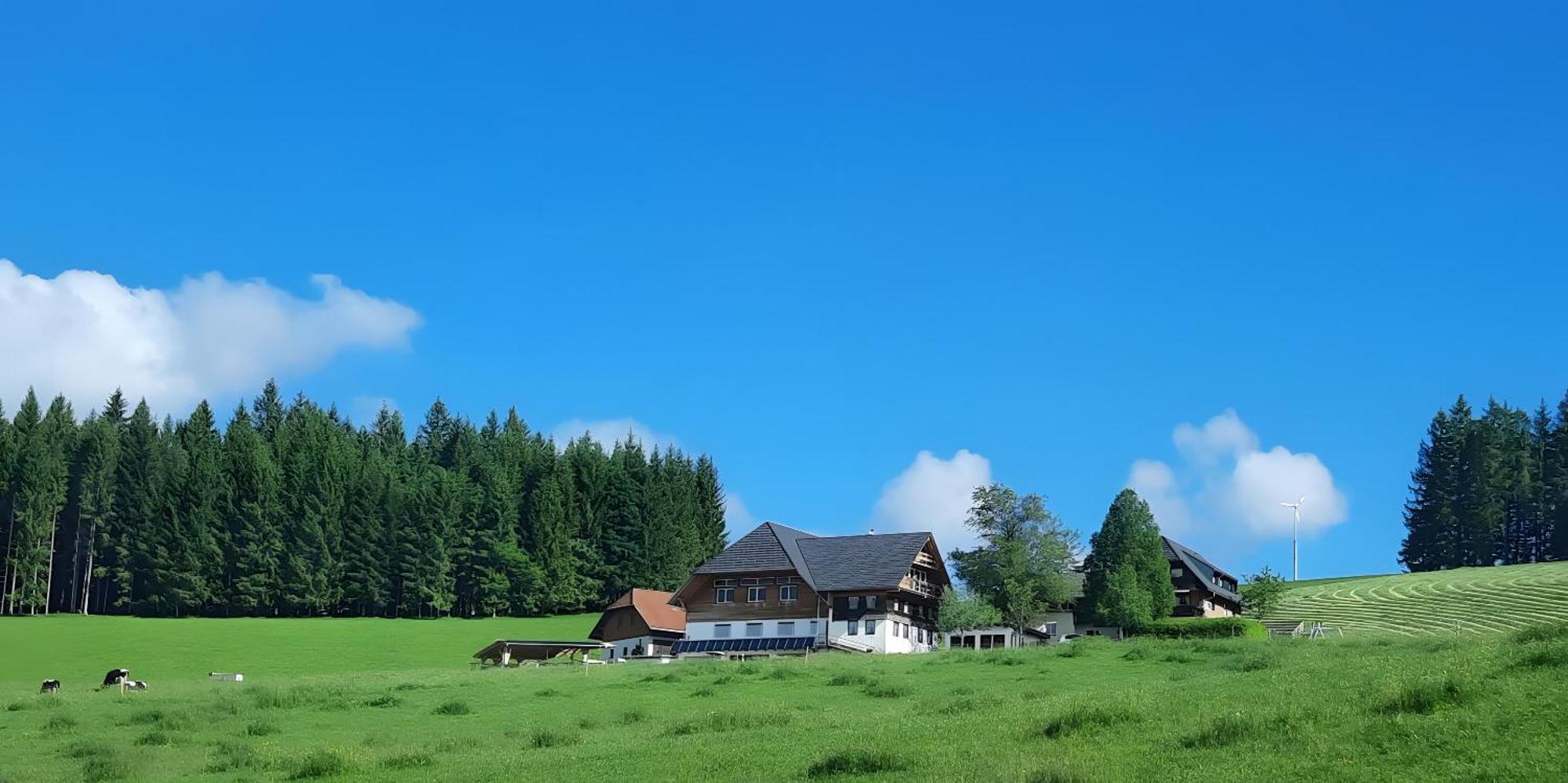 Lorenzenhaeusle Titisee-Neustadt Extérieur photo