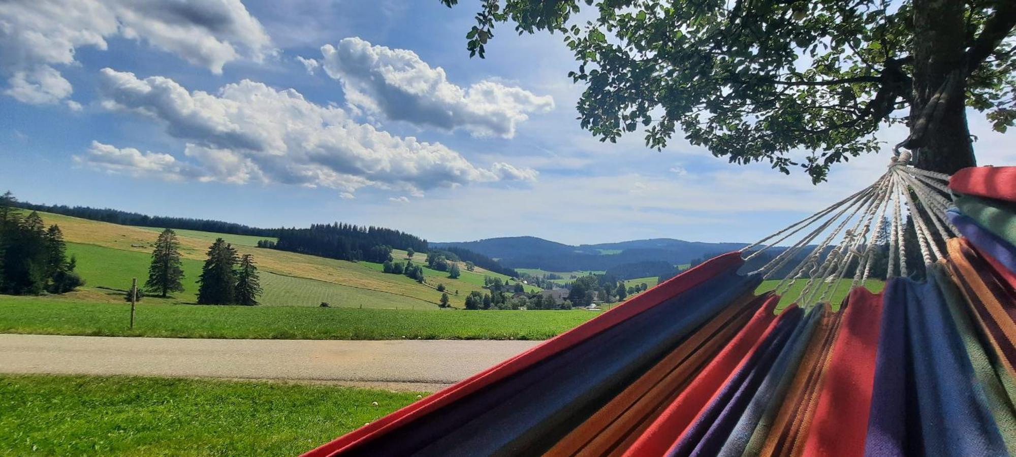 Lorenzenhaeusle Titisee-Neustadt Extérieur photo