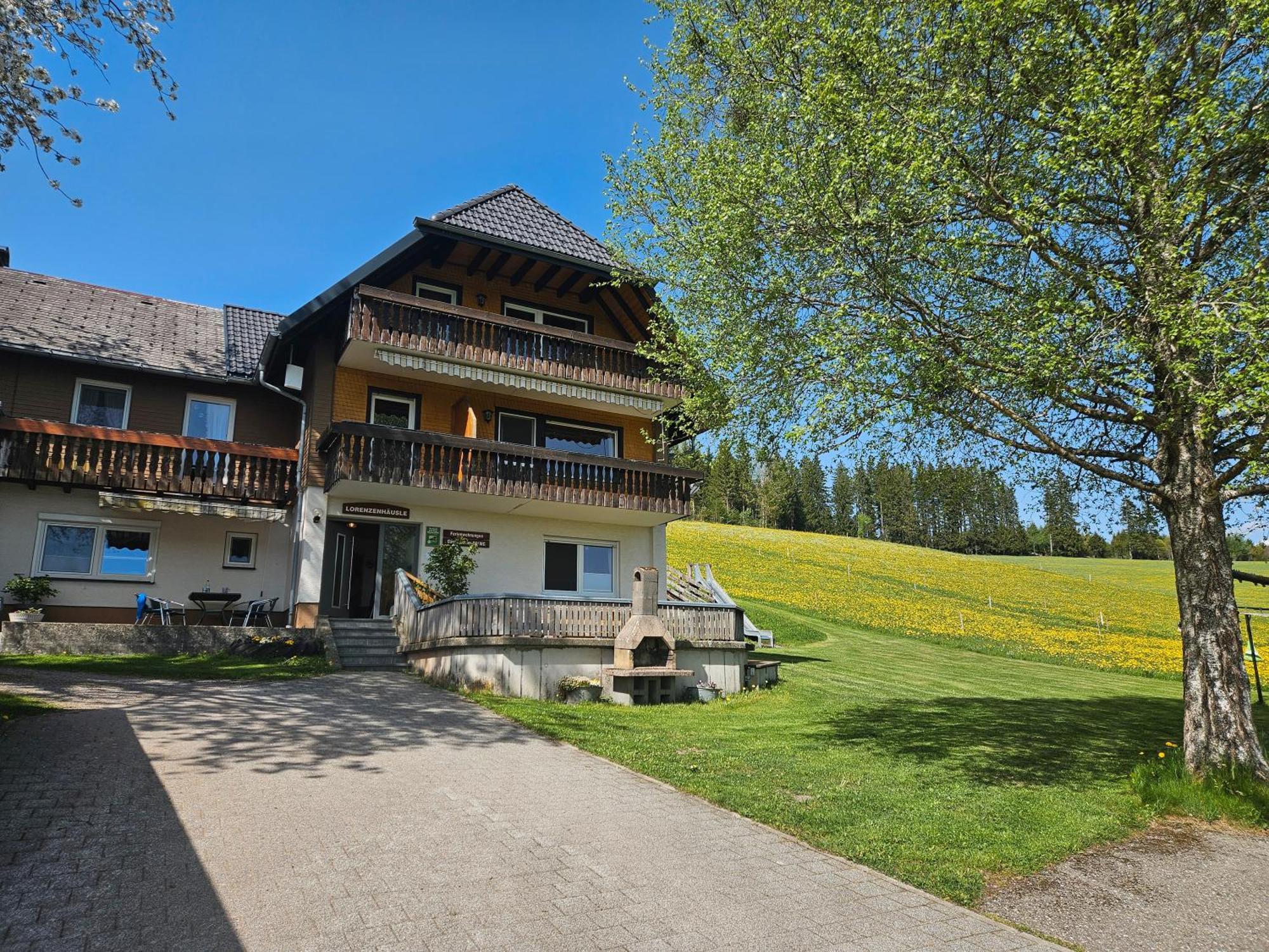 Lorenzenhaeusle Titisee-Neustadt Extérieur photo